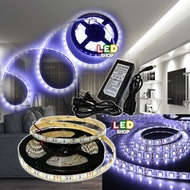 5meters LED Strip Light smd5050 for ceiling cove light, decorative accent lights, bluish white