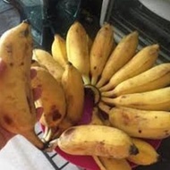 pisang awak / pisang bandung/ pisang unyil manis 1 sisir