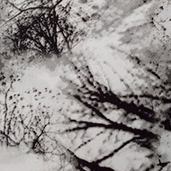 Stretch Tulle Foggy Tree Monochrome Motif
