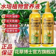 Hydroponic Plant Nutrient Liquid Universal Flower Fertilizer Fortune Bamboo Fortune Tree Green Dill 