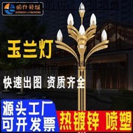 LED玉蘭燈廠家批發市政道路景觀燈景區廣場市電工程照明燈中華燈 吉星燈飾