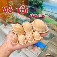 Garlic shells, small size - L, shell mouth (1.5cm ~ 3.5cm) used to replace shells for snails.