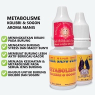 METABOLISME KOLIBRI DAN SOGON | VITAMIN METABOLISME BURUNG KOLIBRI DAN