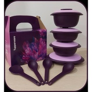 Tupperware Purple Royale Petit Serveware Set (4pcs)