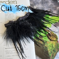 15cm ตัวอย่างสั้นมาก ขนนก กระจอกเทศ ขนนกกระจอกเทศ เส้นขนนก ขนฟู แบบ 2 ชั้น เส้นแบน ขนาด 15cm eather 