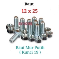 M12x25 White bolt nut 12 x 25 key 19