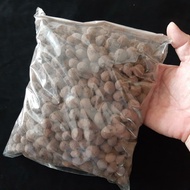 Leca Balls For Potting And Planting - 3 Sizes