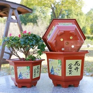 Adenium flower pot Hexagon Bonsai Plastic Flower Pot Gardening Pots Pasu Bunga Plastic Segi Enam 六角盆