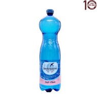 聖碧濤 - 聖碧濤 意大利天然礦泉水(無氣) 1.5公升