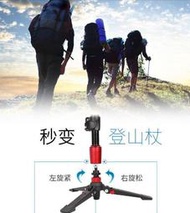 Jie Yang捷洋JY0516 II專業扳扣式防手震單腳架油壓阻尼雲台(可拆卸三腳爪 自立撐腳 變登山杖) 全高188