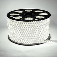 5050 220V 100 Meter White Led Strip Light 5050 100M White Hose Light/