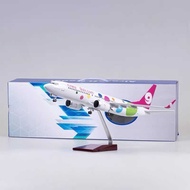 Jiuyuan Airlines Boeing 737 Passenger Aircraft with Wheels with Lights Aircraft Model 737-8 Simulati