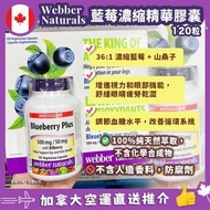 ⛔️截單日：6月25日18:00  ❤️‍🔥🇨🇦加拿大直送 Webber Naturals blueberry plus 藍莓濃縮精華膠囊(120粒)