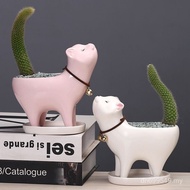Featured Flowerpot Tail New Style Plant Plant Desktop Cat Cartoon Cat Art Green Plant Monkey Tail Po