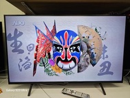 43吋電視 Panasonic 4K Android TV  43LX800H