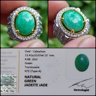 Natural Jadeite Jade Batu Akik Giok Asli Hijau Apple Green Type A NTE Memo