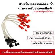 CHILWEE/Tiannang/FUCHAO/TAIVANI Battery Cable For 6-DZF-12/6-DZF-20 20cm Strong And Durable Dedicate