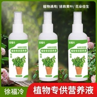 old general potted plant flower fertilizer, rich bamboo flower fertilizer, green plant fortune tree 