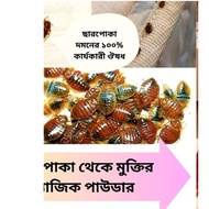 Bedbug killer Spray Dustmite Control kutu Spray, Ya Shi Jing Bedbug Powder,Ubat lipas,ছারপোকার ঔষধ
