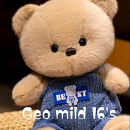 BERuang MR. Geo Mild 16's
