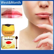 Tháng Tây Mật Ong Son Dưỡng Môi Giữ Ẩm Keo Ong Mặt nạ môi Cọ môi Với Keo Ong Giữ Ẩm Mặt nạ môi Môi L