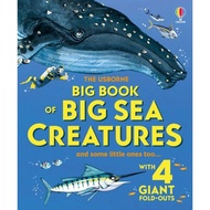 Big Book of Big Sea Creatures by Fabiano Fiorin (UK edition, hardcover)