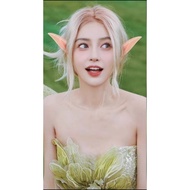 ELF EARS FAIRY EARS ELF EAR EARS PAIR LEGOLAS GOBLIN COSPLAY ANIME KOSPLAY