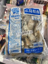 日本廣島北吉蠔 L size (急凍貨）