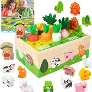 Montessori Wooden Sensory Toddler Toys: Toy for 1 Year Old Boys Girls Birthday Gifts , Educational L