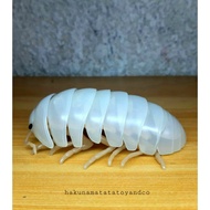 Bandai Dango Mushi Pill Bug Isopod Mini version Japan imported