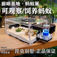 Ready Stock Ant Eco Box Ant Nest Ant Castle Ant Workshop Ant House Ant Castle Nest