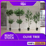 PREMIUM POKOK HIASAN VIRAL / OLIVE TREE / POKOK OLIVE / ARTIFICIAL PLANT / PLANT7200-7239