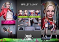 Hottoys 小丑女 Harley Quinn  -01/10/2025訂單原價出