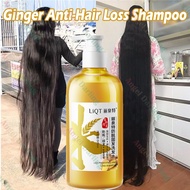 Hair loss shampoo Ginger shampoo hair growth Anti hair loss shampoo 500ml Anti hair loss/Fast hair growth/Anti dandruff/Control oil/Relieve itching/Moisturizing/7 Day Promotes Hair