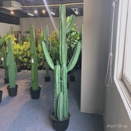 Fake Plant Cactus Decorative Office Interior and Exterior Artificial Potted Cactus Fairy Pillar Home