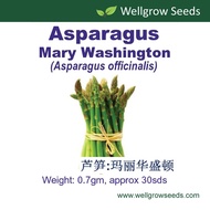 Asparagus Mary Washington Seeds (It's a seed, not a plant!)
