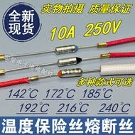 Universal Egg Steamer Electric Kettle Garment Steamer Hair Dryer Hot Air Gun Temperature Fuse Tube T