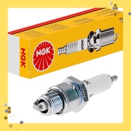 (NGK) Spark Plug, general plug (screw type/without terminal) 1 pc [7162] DR8EA