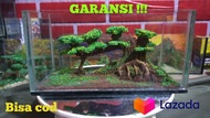 aquarium mini baby chana/cupang tema bonsai/aquarium ikan hias/aquarium hias/soliter/aquarium mini/b