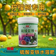 Chuanmei Ferrous Sulfate Lemon Tree Special Flower Fertilizer Acid Acid Water-Soluble Fertilizer Cam