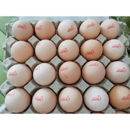 B Egg/C Egg/Kampung Egg/Alfalfa Kampung Eggs/Omega/Salted Egg