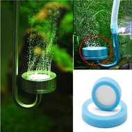 CO2 effervescent ceramic aquarium - aquarium