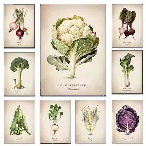 Vintage Vegetable Cauliflower Onion Broccoli Peas Poster and Prints Canvas Painting Wall Art Picture
