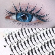 240pcs/120pcs/96pcs Fairy Eyelashes Makeup Eyelash Extension - Soft Natural Feather Tip Design, Suit