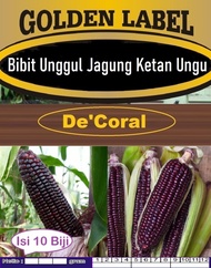 Bibit Unggul Jagung Ketan Ungu | Biji Benih Jagung Ungu | Jagung Pulut