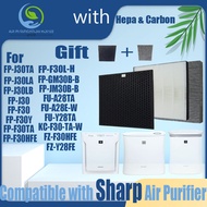 HEPA & Active Carbon Filter FP-J30TA