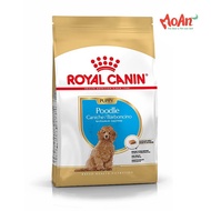 Royal canin Food for Poodle puppy / Poodle Adult