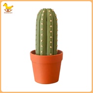 [Nosafhu] Self-storage Flower Pot Chess Set Cactus Chess Game Unique Cactus Chess Set Perfect Gift f