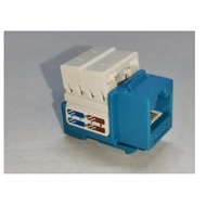 Belkin Cat6 Outlet Device Blue Cat 6 I/O - CAT6I/OBLUE-BELKIN
