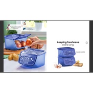Tupperware Garlic N All Keeper 2.3L || Bekas Bawang Tupperware || Bekas Bawang Lawa || Trusted Selle